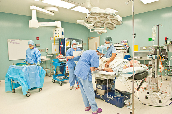 Advanced Laminar Flow Operation Theaters and ICUs - Advanced advanced laminar flow operation theaters and icus equipment at SVSH Hospital for comprehensive cardiac care and diagnostics